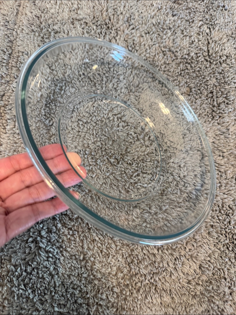 Lock & Lock Pie Plate 9”